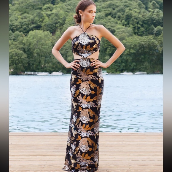 NWT Mestiza Arianna Sequined Cutout Bronze / Silver Gown Size 6 - Picture 1 of 7